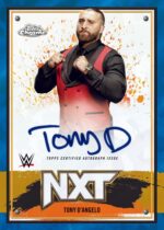 2025 Topps Chrome WWE Sapphire Edition Wrestling Hobby - Image 6