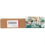 Disney Lorcana: Archazia's Island Booster - Image 3