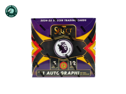 Panini - 2024/25 Select Premier League Football (Soccer) - International Hobby Box