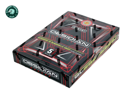 Panini - 2024/25 Obsidian Football (Soccer) - International Hobby Box