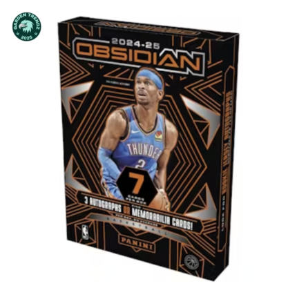 2024/25 Panini Obsidian Basketball Hobby Box