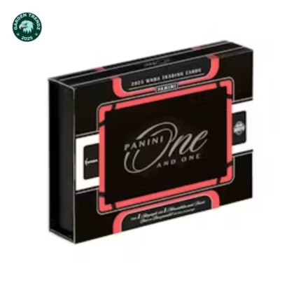 2025 Panini One and One WNBA Basketball Hobby Box